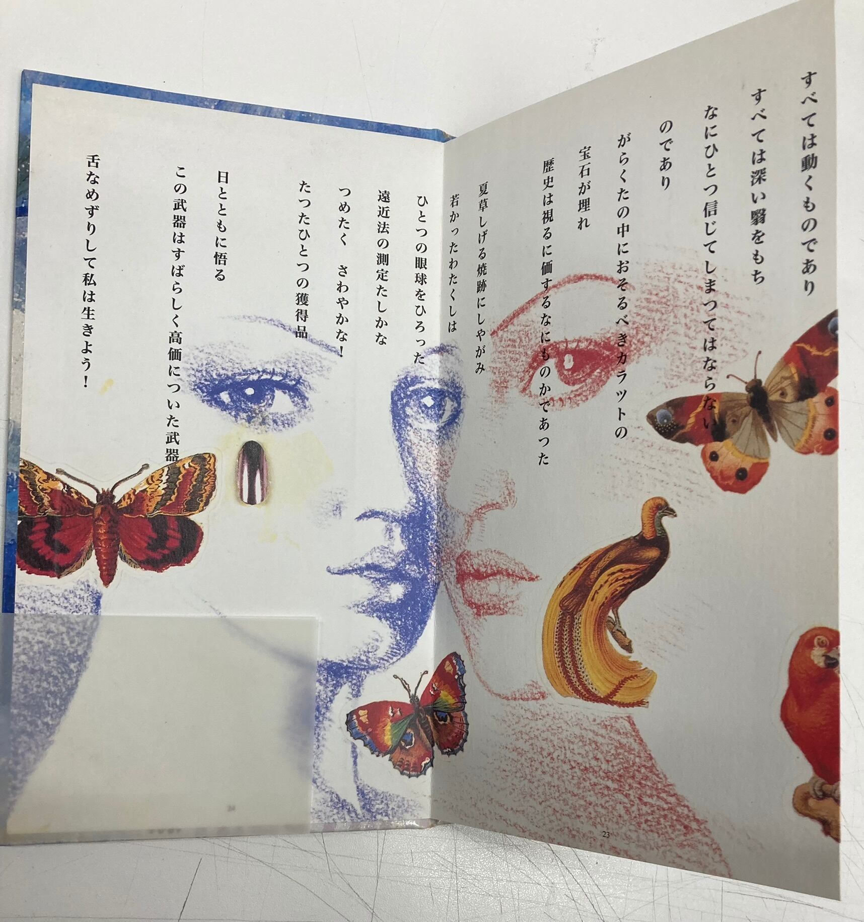 宇野亜喜良 茨木のり子 詩画集 汲む 1996年 発行・ザイロ 発売・北泉社
