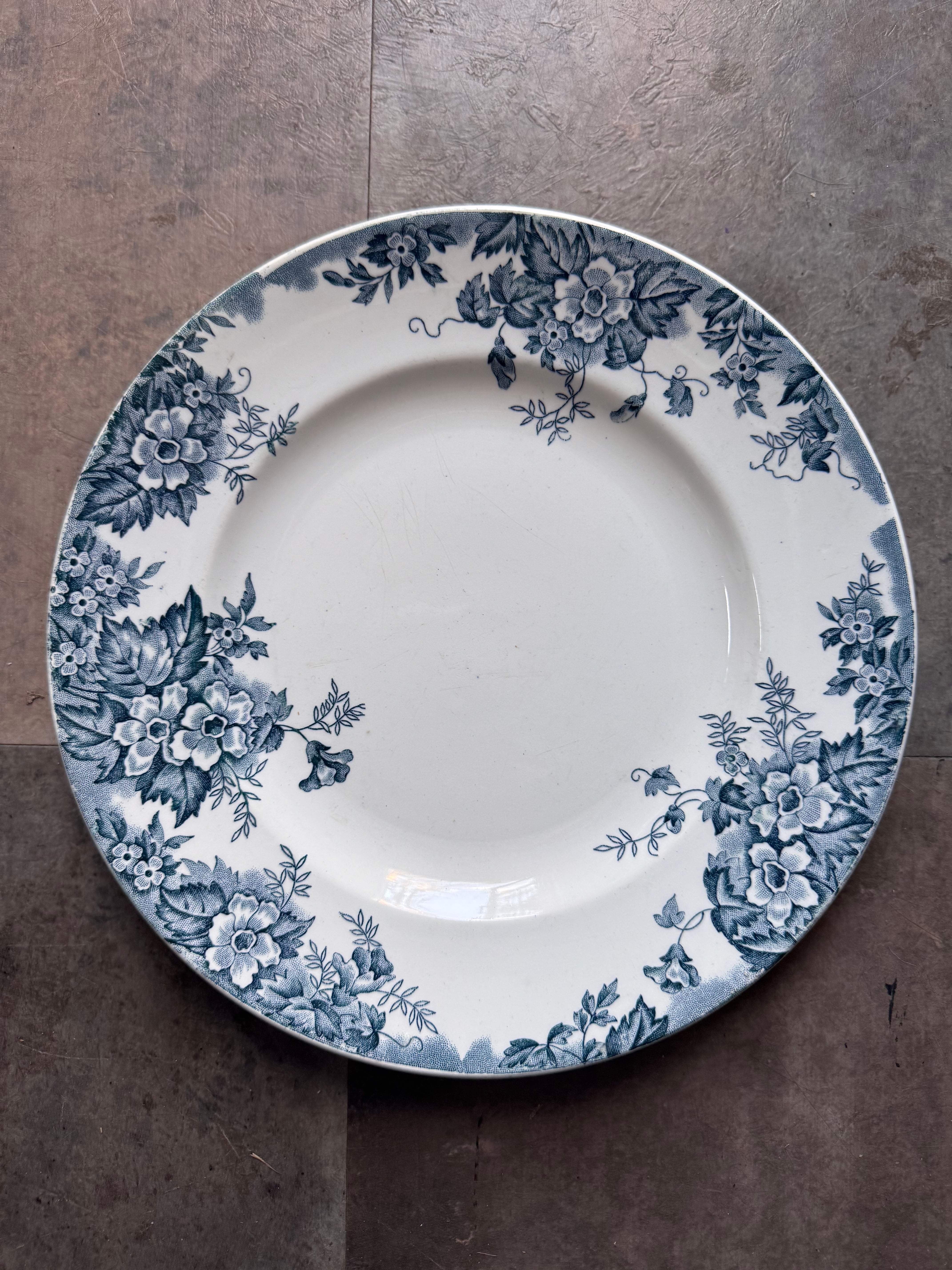 サルグミンヌ アグレストシリーズ スーピエール大 | Chandelle