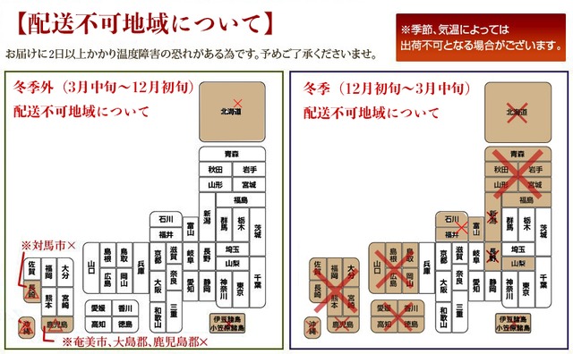 胡蝶蘭【5本立／６０輪】ピンク色　〜選べるラッピング〜