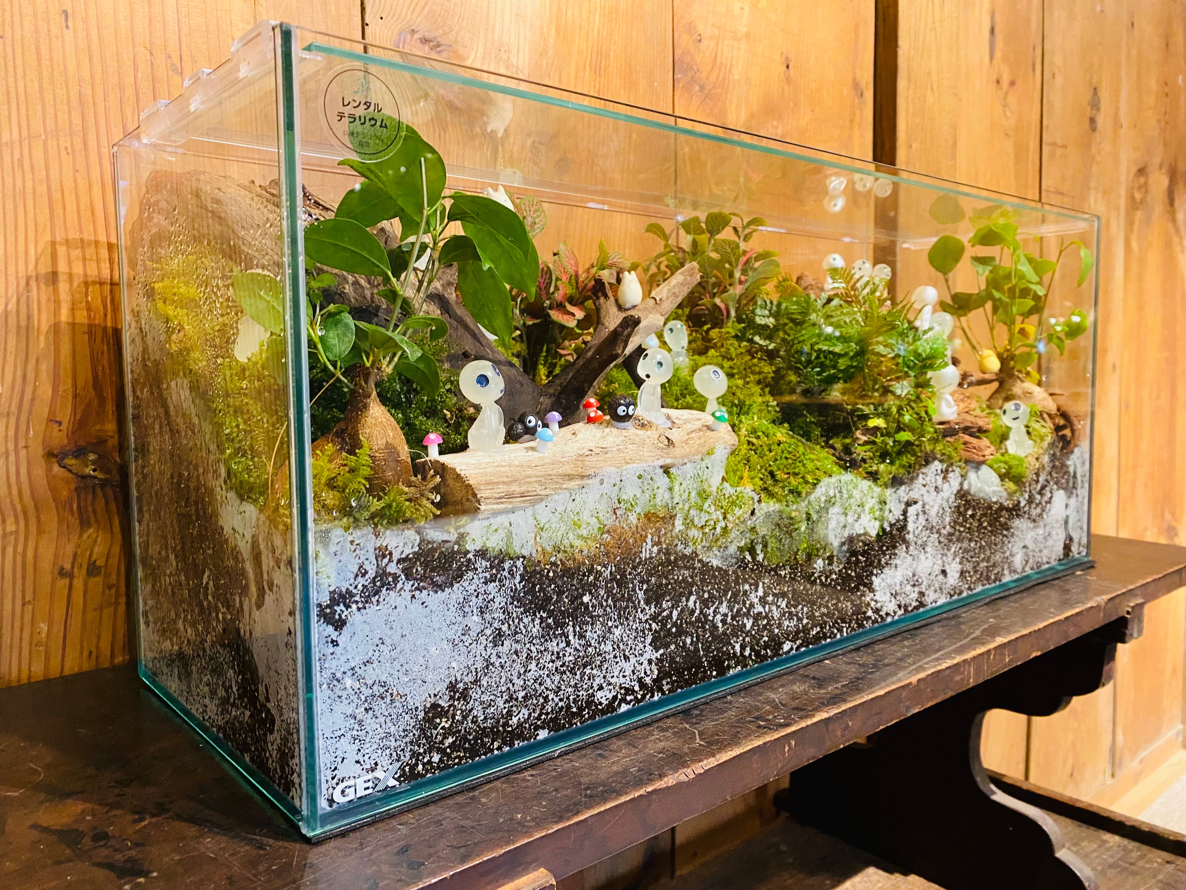 代理店用】レンタルテラリウム月額費用 | 「ちいさな苔屋さん」ネット