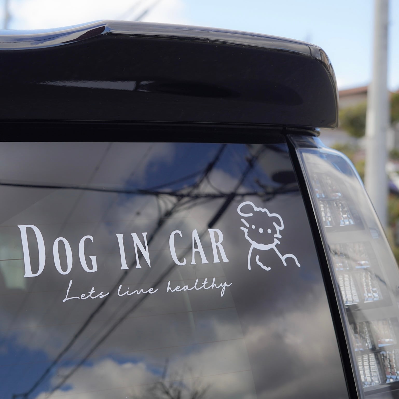 \新生活応援再販/Dog in car