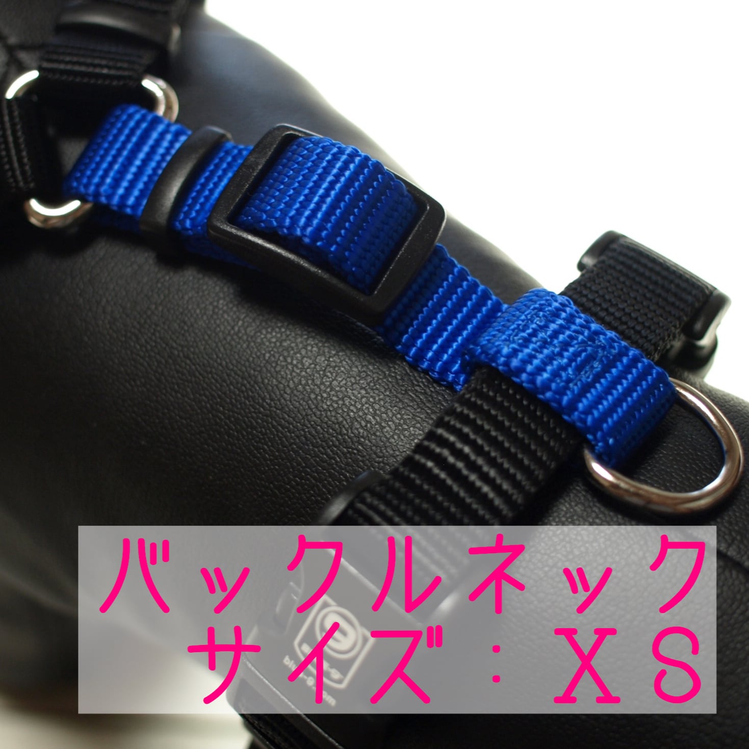 バランスハーネス（バックルネック）XS 犬用 | Sherpa Pet Service