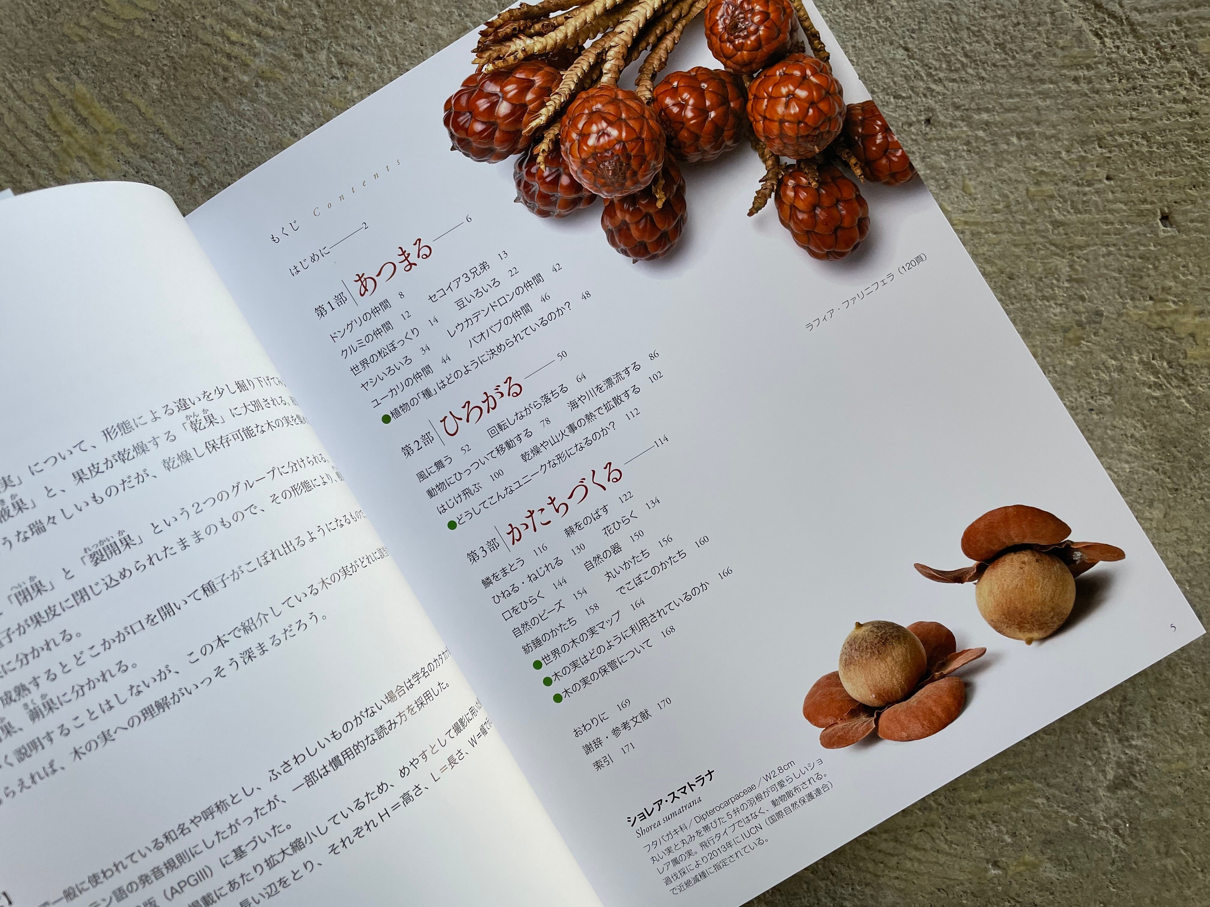 世界のふしぎな木の実図鑑 Standard Bookstore