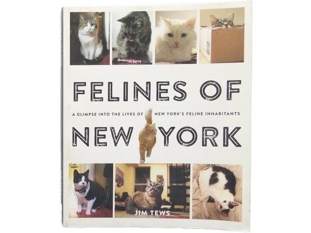 超希少 猫 洋書 画集 写真集 コレクション まとめ売り50冊 猫 | 洋書堂
