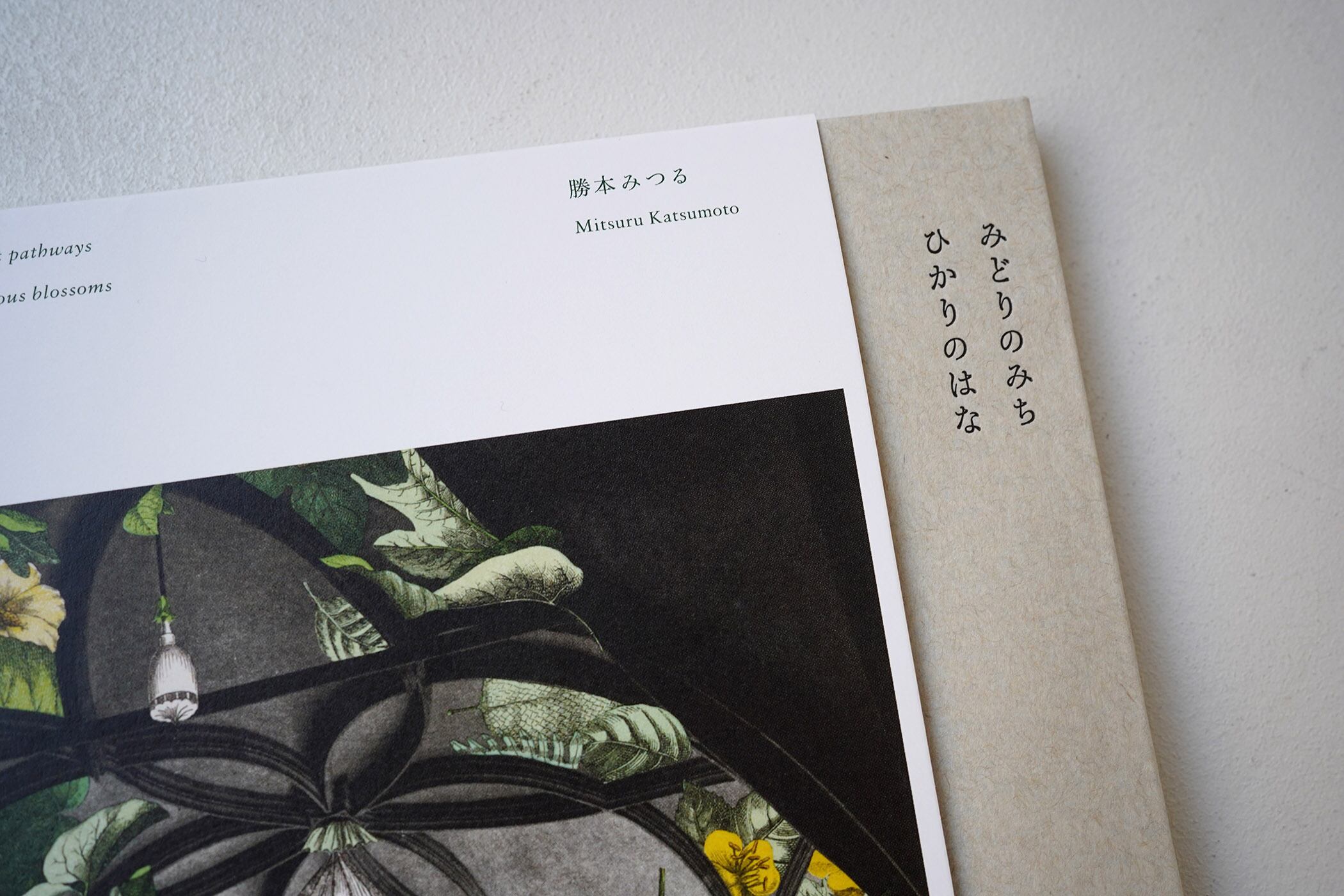 みどりのみち ひかりのはな | 勝本みつる | rebelbooks