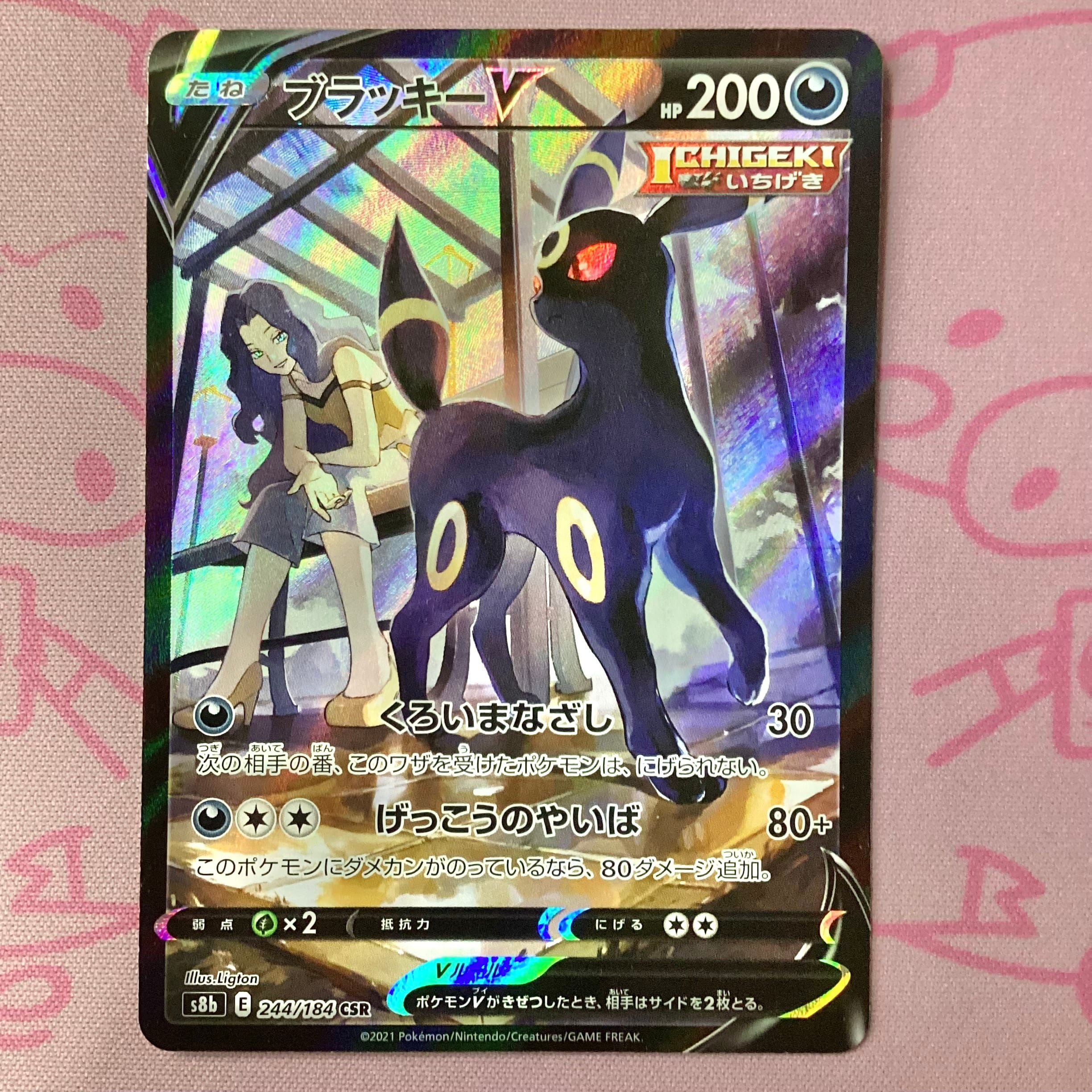 【Aランク】ブラッキーV CSR