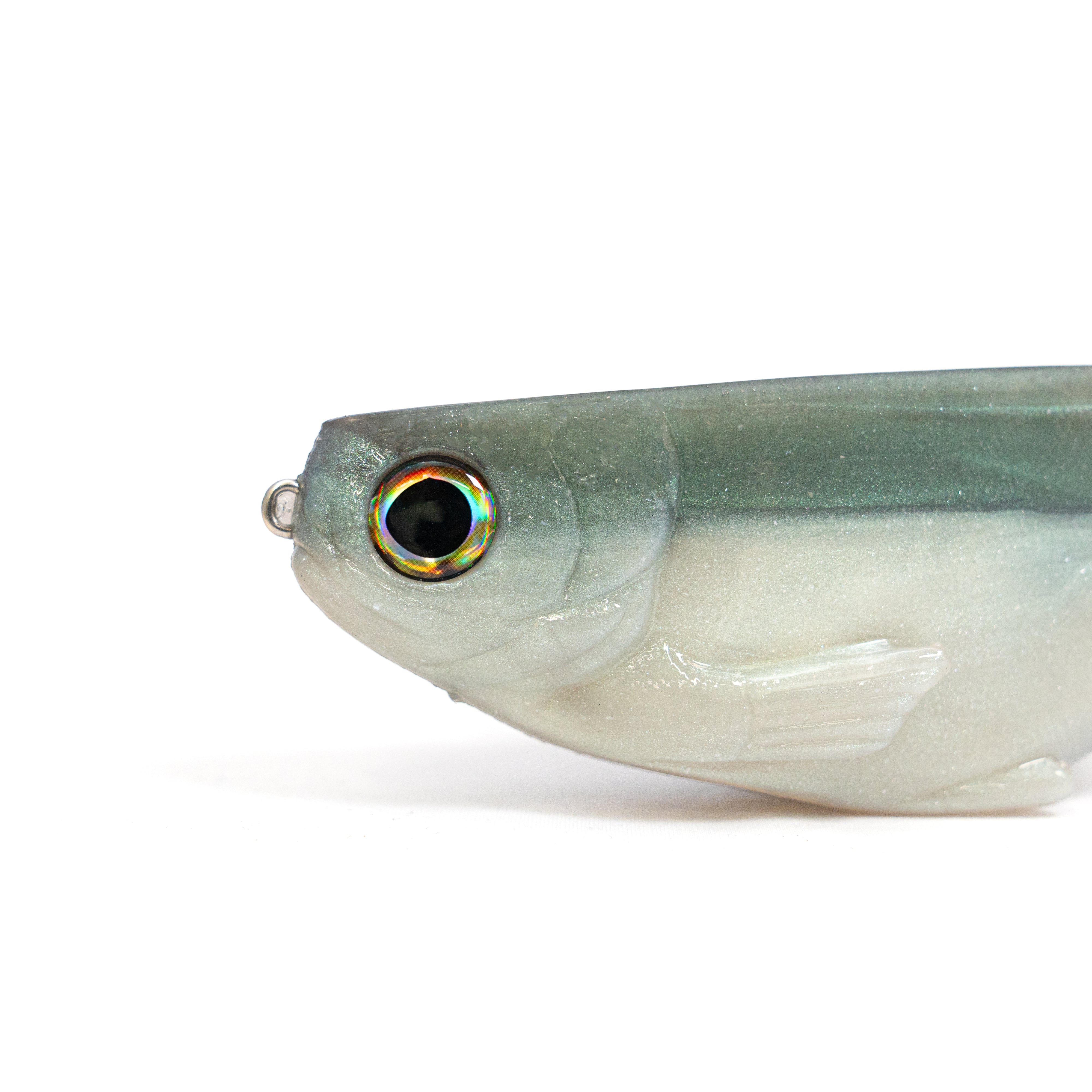 WCZ CITIZEN 9 #Lake Shad (DRT x WCZ) | modeB Trading