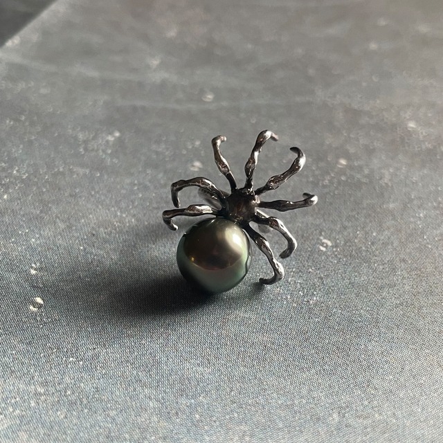 Spider Ear Cuff - South Sea Pearl BK  /  蜘蛛のイヤーカフ- 南洋真珠 ブラック