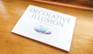 図録 田久保静香「DECOLATIVE ILLUSION -装飾的錬金術-」