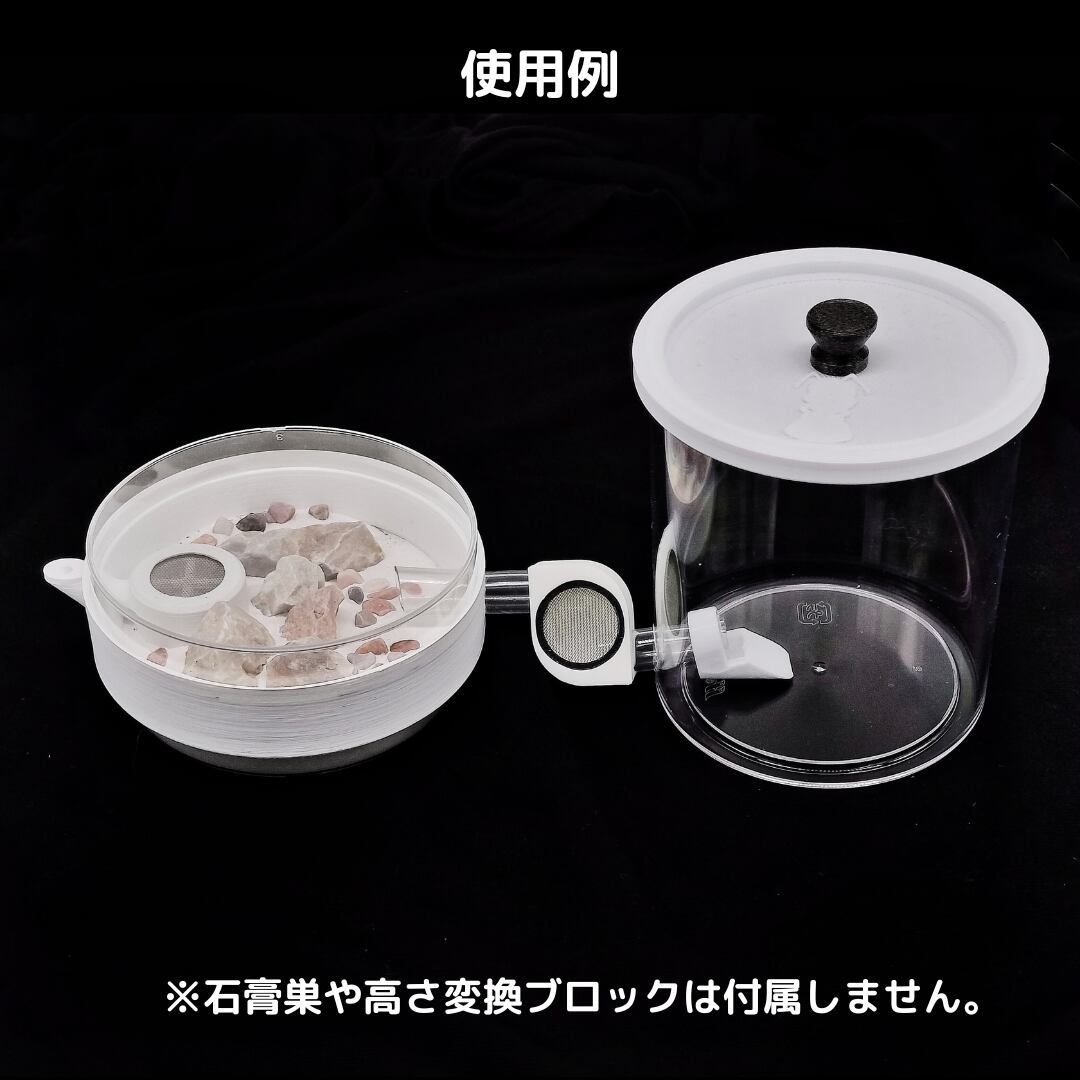 アリ セット