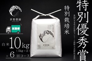【 一括支払で送料がお得】【定期便 10kg(5kg×2袋入) 6回コース 】茅野農園 特別栽培米 コシヒカリ 10kg(5kg×2袋入) 減農薬 化学肥料(窒素成分)不使用 【10/18まで限定商品】