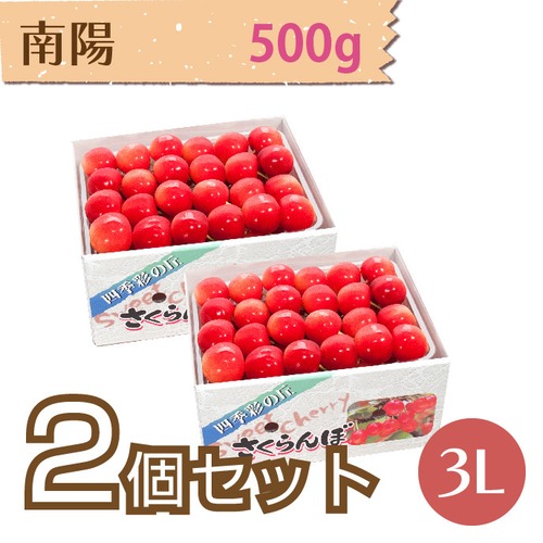 【さくらんぼ】南陽 500g【3L】×2個セット