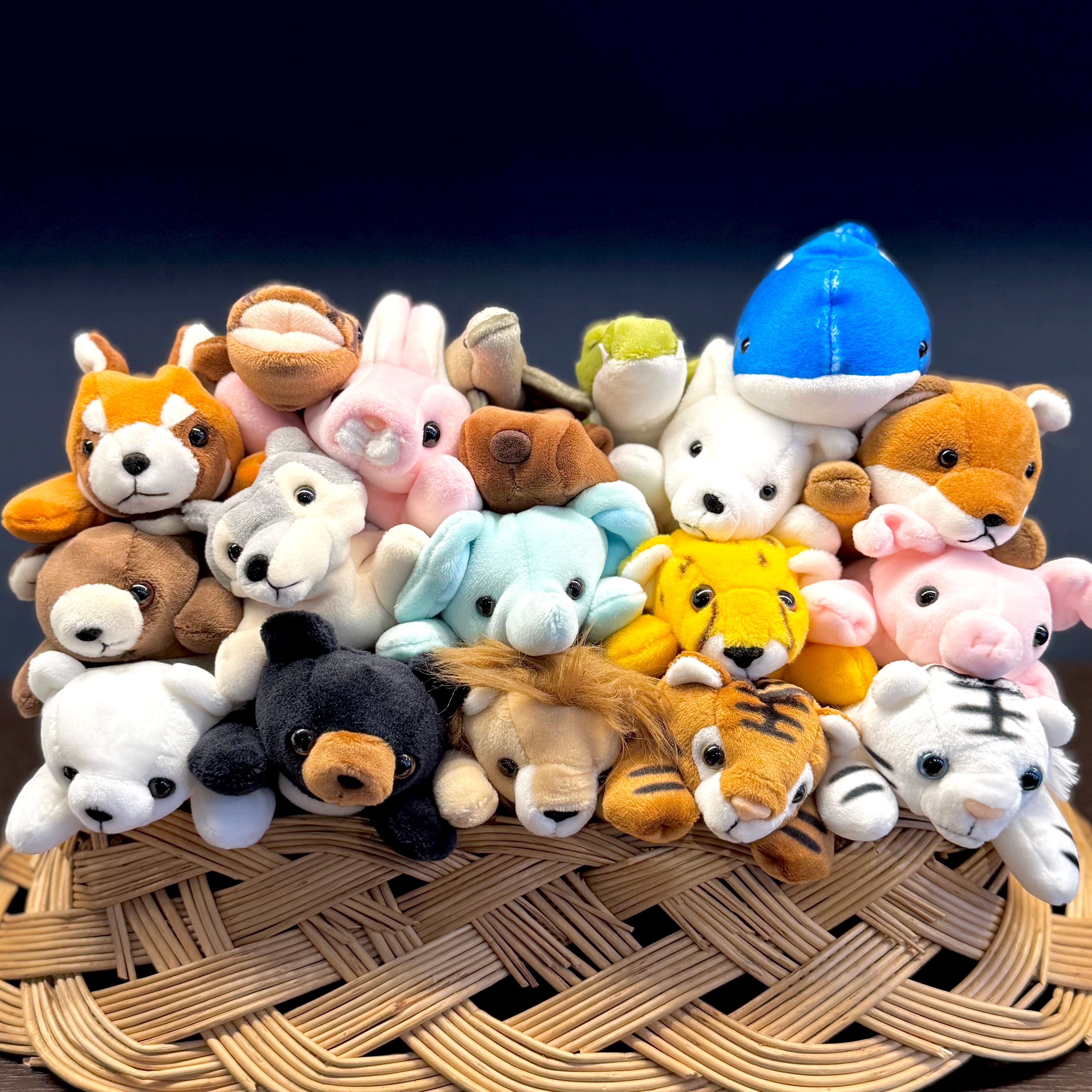 ぽけぷに ホワイトタイガー | 円山裏参道WawA◎◎ミュージアム