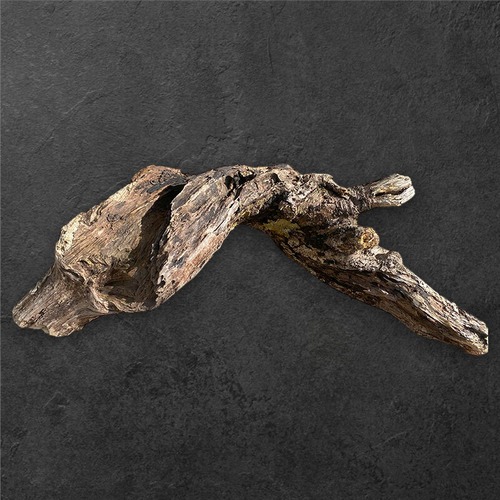 【インテリア・アクアリウム素材】清流の記憶を宿す大型流木