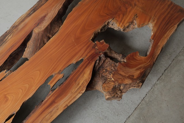 欅　Zelkova