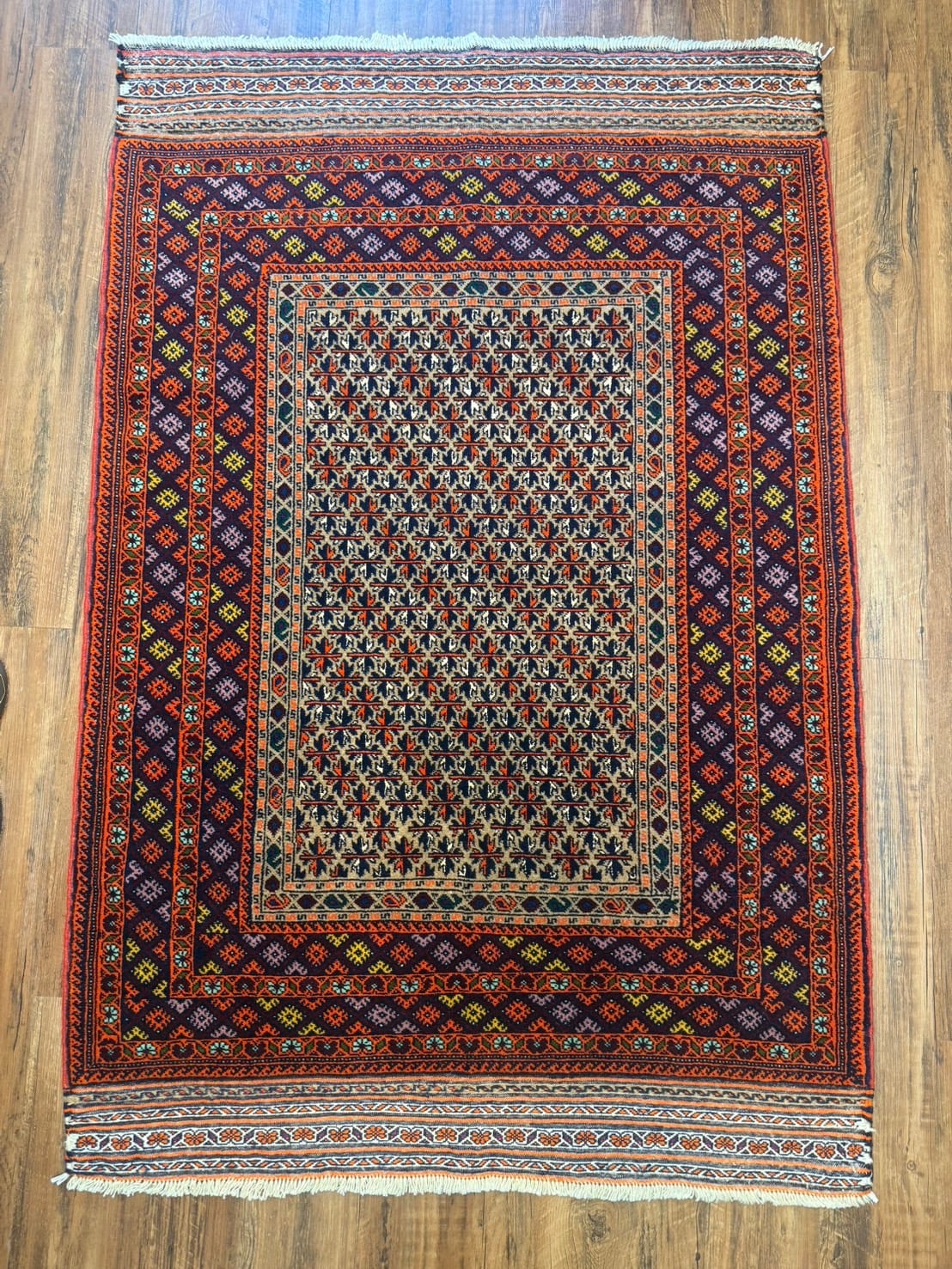 sasanianrugs ペルシャ絨毯専門店