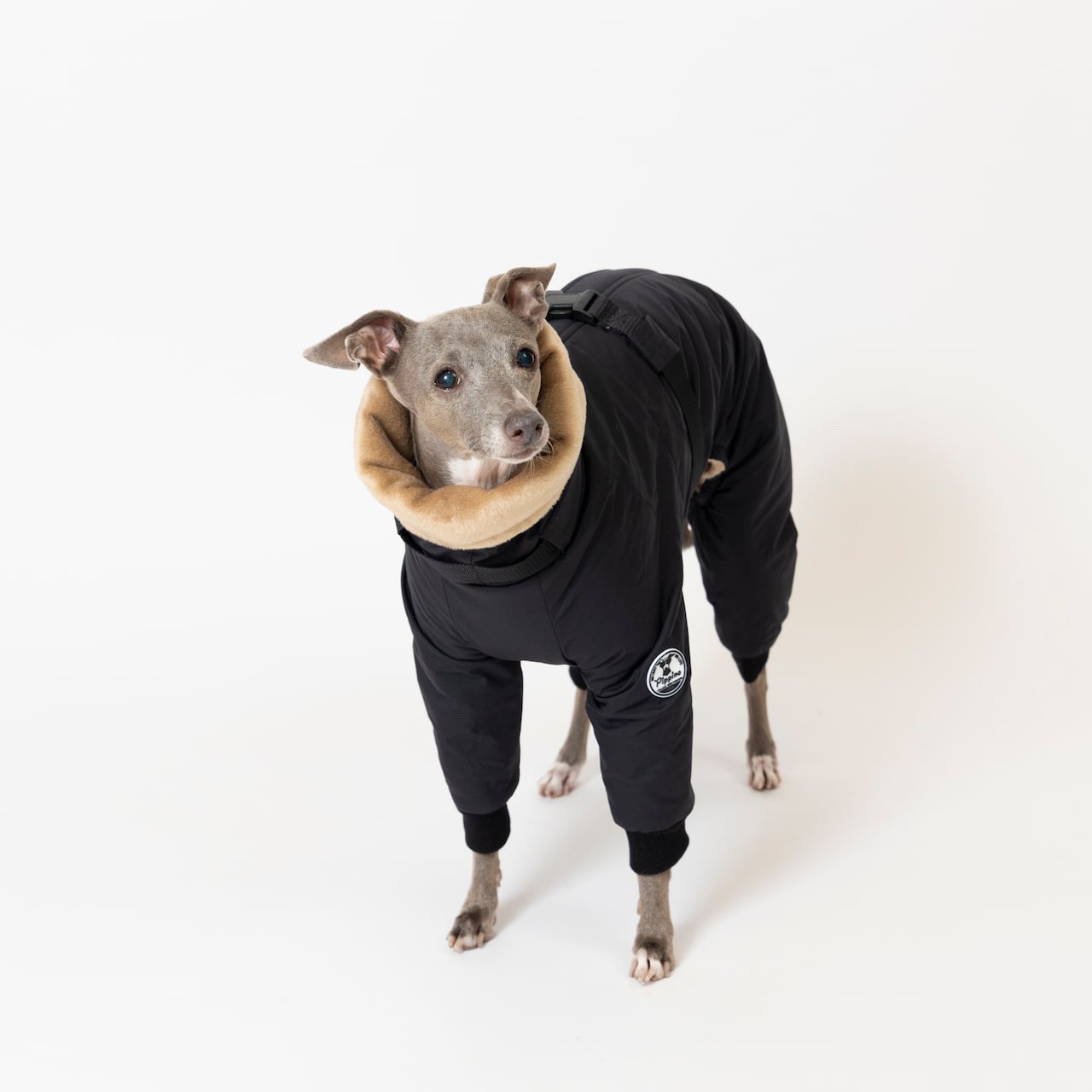 ボンバーヒートジャケット2024 black / イタグレ服 | イタグレ服