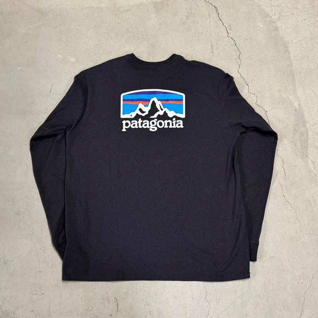④PATAGONIA RESPONSIBILI TEE P-6 LOGO L/S