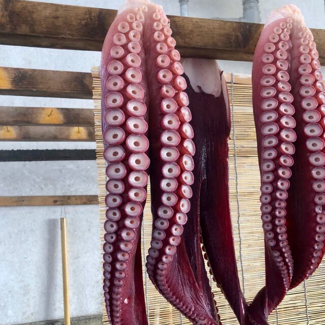 真タコ・足(中・約1.0㎏)