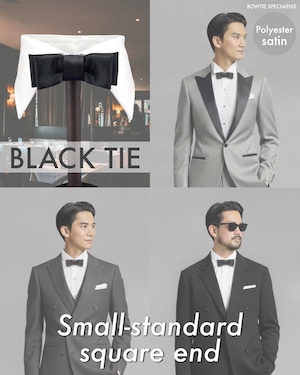 蝶ネクタイ メンズ 結婚式 二次会 スモールスタンダード・スクエアエンド (ブラック/エステルサテン) 作り結び型 ブラックタイ