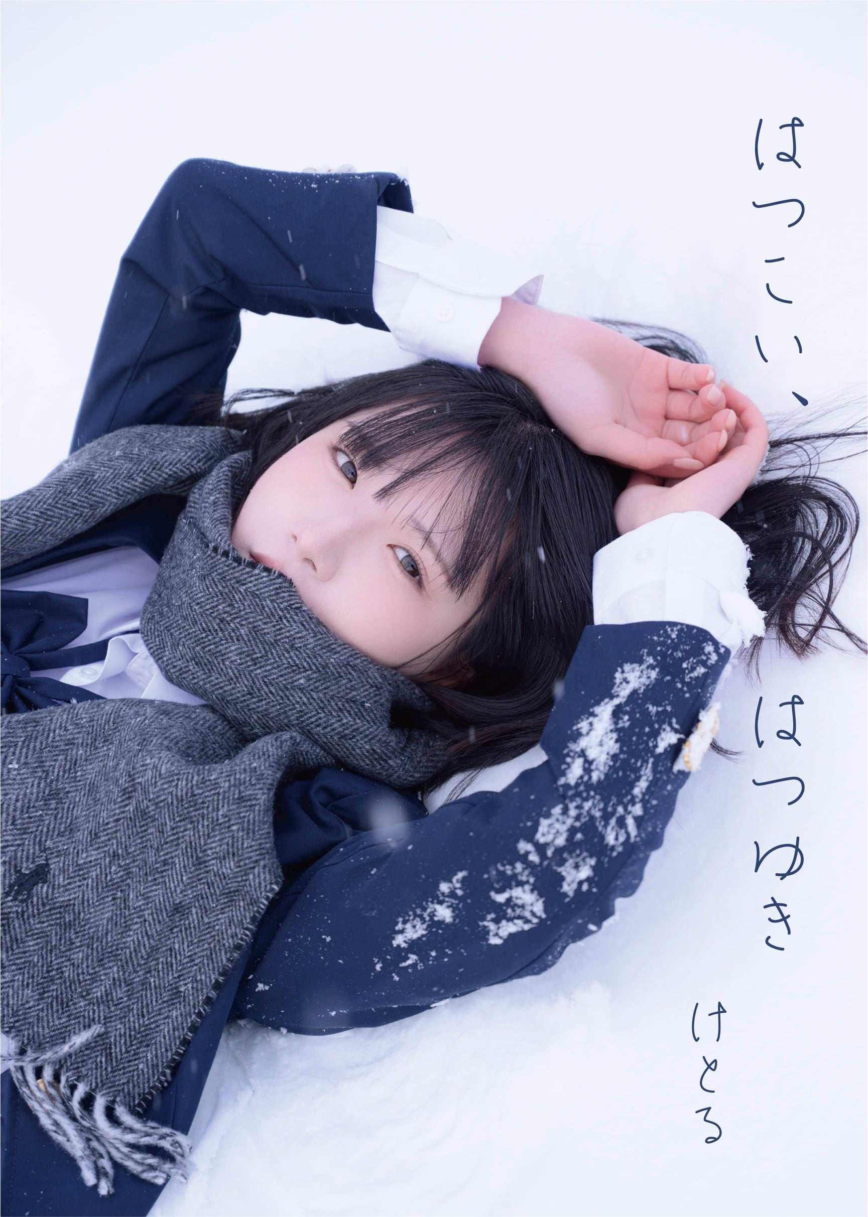 宮脇綾子 - はりえ日記 (1) | Pay ID
