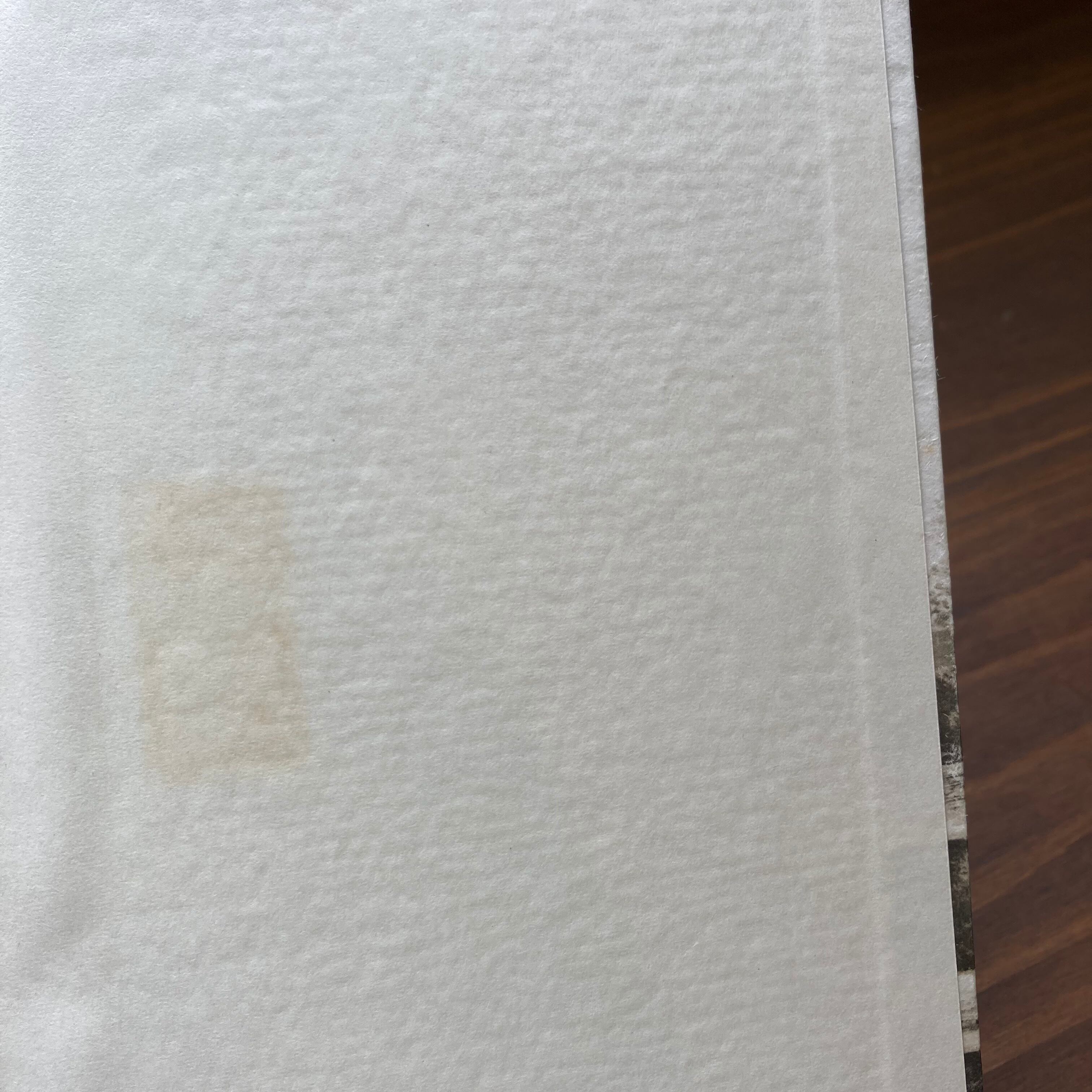 おおきくなりすぎたくま