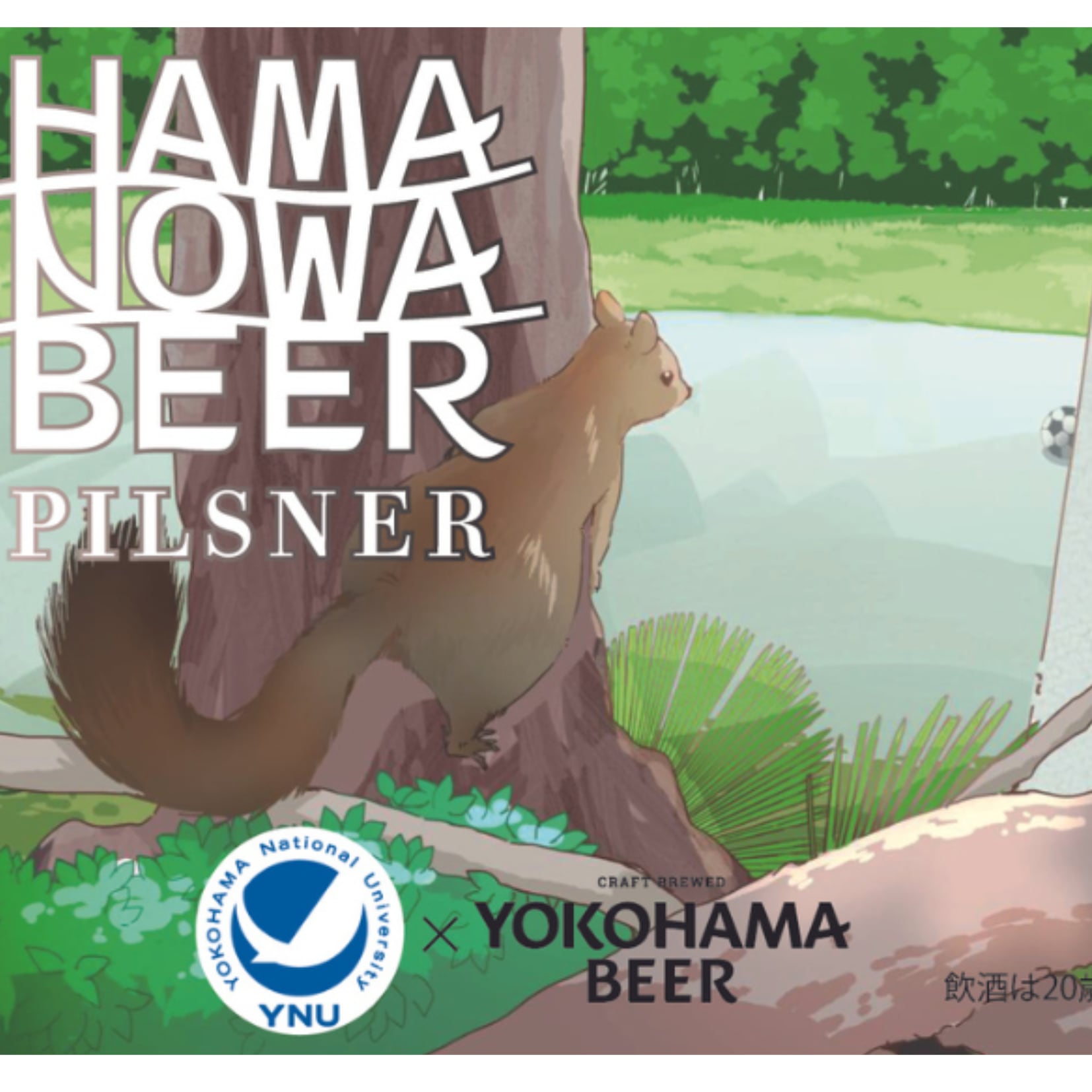 横浜国立大学ビール『HAMANOWA BEER』6本セット（3種各2本）