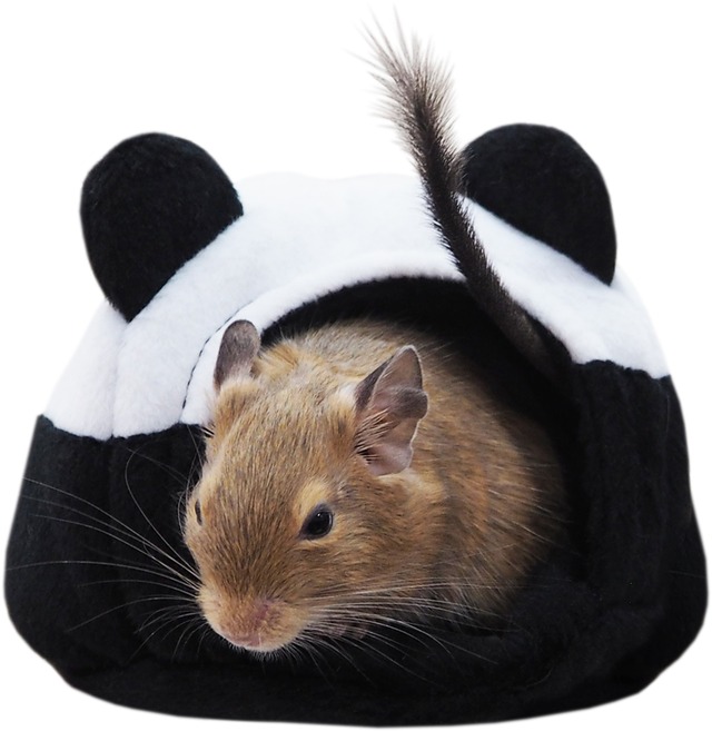【小動物用品】アニマルミニテント　パンダ