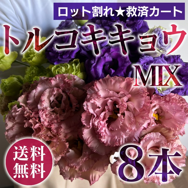 ☆フラワーロス救済☆ありがとうございます！《ロット割れ☆救済カート》トルコキキョウmix 8本〈送料無料〉★フラワーロス支援