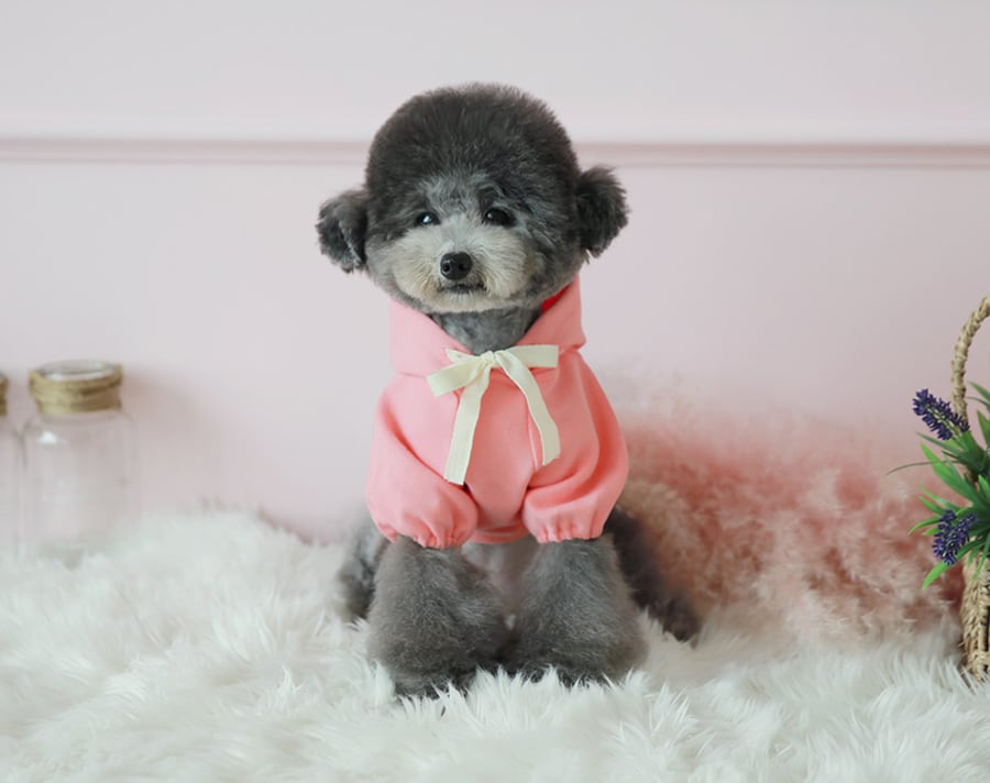 nagrang crop hood S ～ XL 4color / 犬服 秋冬 ショート丈 パーカー フード おパンツカット 無地 シンプル ドッグウェア 小型犬 中型犬 お揃い お出かけ 韓国ワンコ服