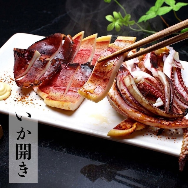 【鮮度がすべて】ぷりぷり干し イカ開き｜肉厚でやわらか 五代続く溜り塩仕立て 冷凍 おつまみ・おかずに