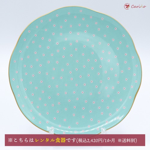 【廃盤品】ウェッジウッド（Wedgwood)　ポルカドット　ティーストーリー　プレート20㎝(100081)