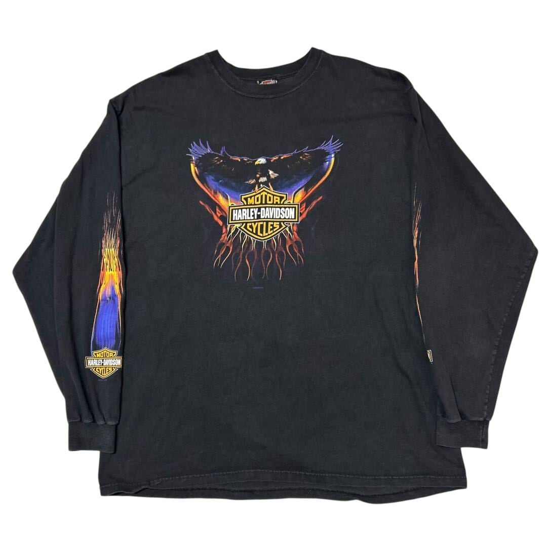 00s Harley-Davidson ハーレーダビッドソン ロンT 2XL フレイム
