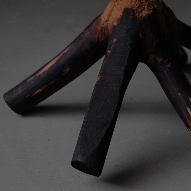 Crotch of a tree