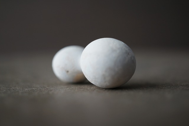 メニライトオパール Menilite Opal 1923