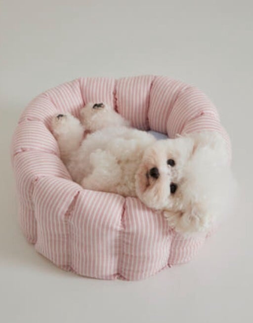 予約【azalea】Stripe Linen Canele Cushion (Pink)