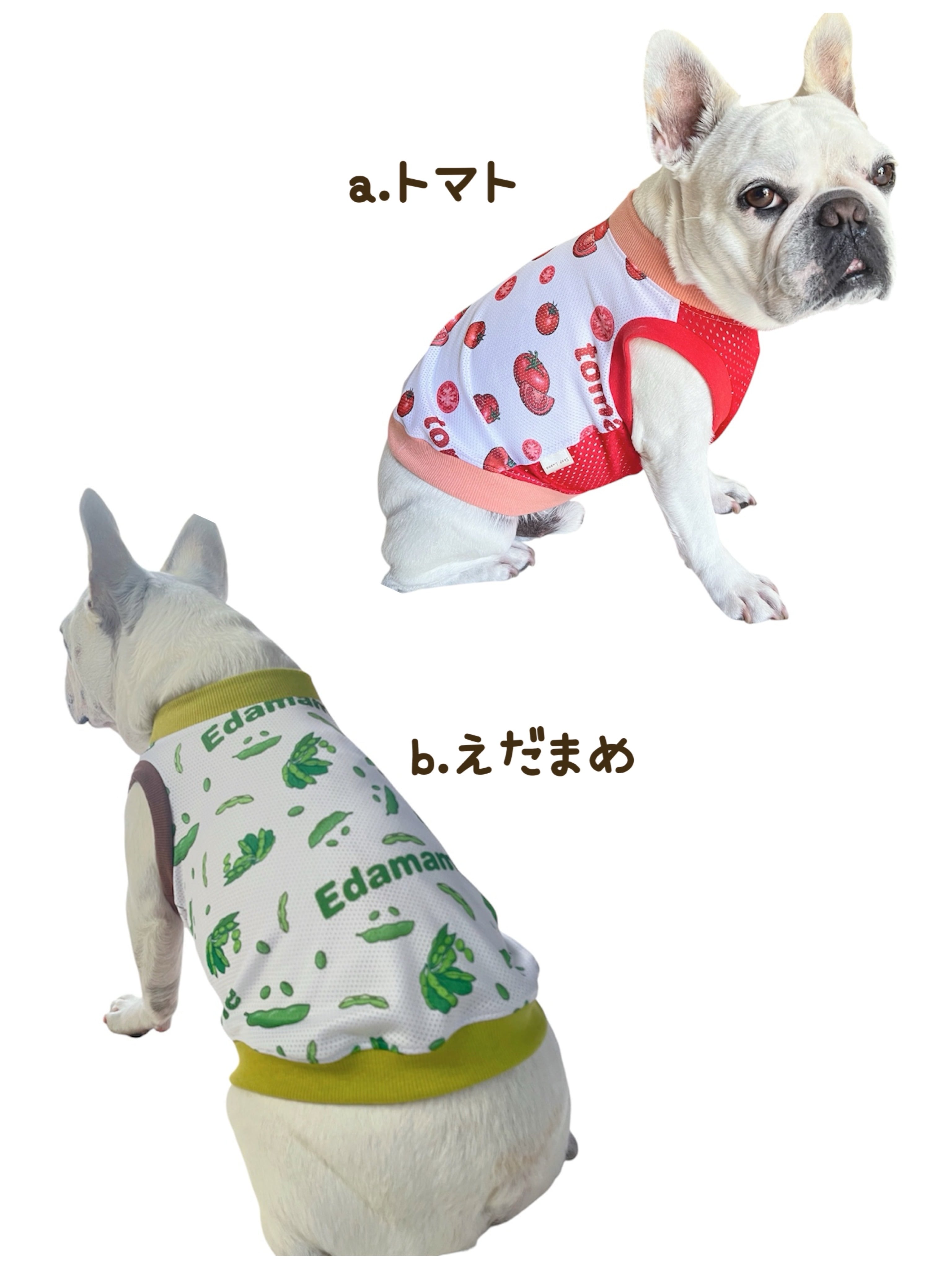 ハンドメイドのルアナ