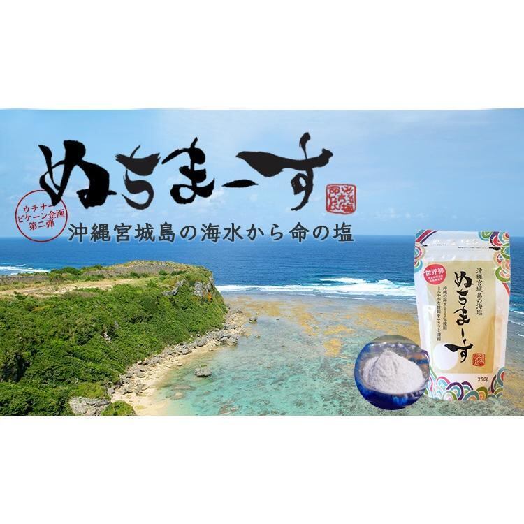 塩 ぬちまーす 大 ２５０g 雪のようななめらかな塩 沖縄の海水100%使用 okinawaマリンブルー