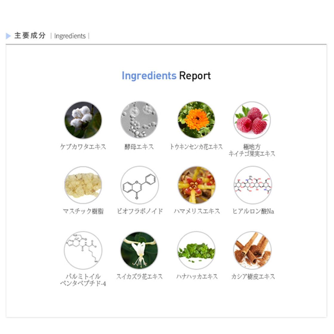 マルチ ペプチドトナー 200ml | Multi Peptide Toner【Rene-Cell 