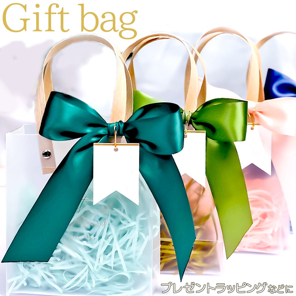10個入 リボン ギフトバッグ ラッピング プレゼント 可愛い ガーリー