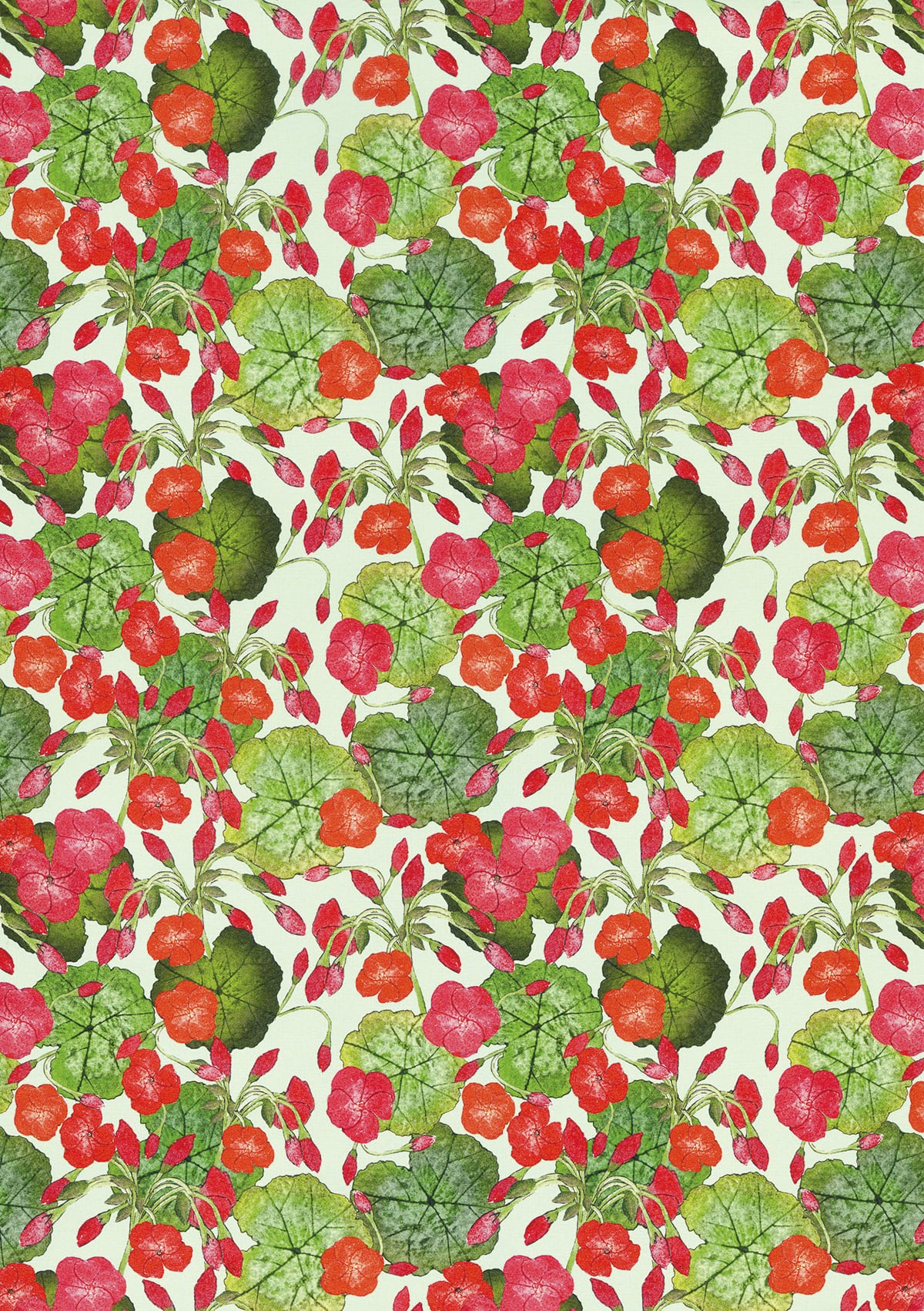 装飾紙 英国製ペーパー Tatty co GW1902-7 (H-168) Geranium 約50x70cm