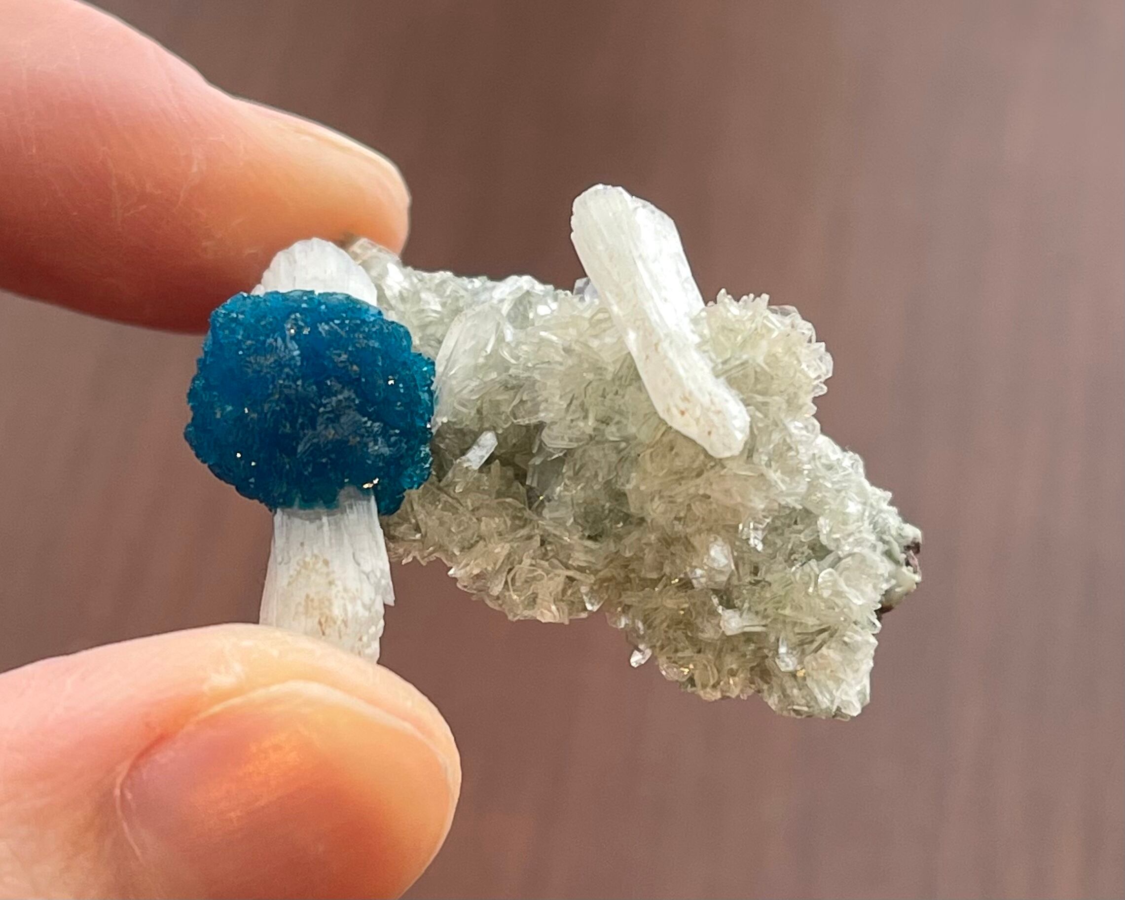 カバンサイト / スティルバイト【Cavansite on Stilbite】インド産