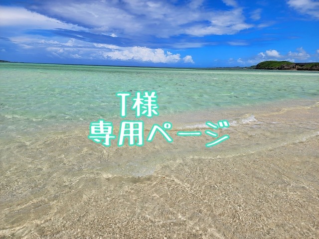 T様専用ページ