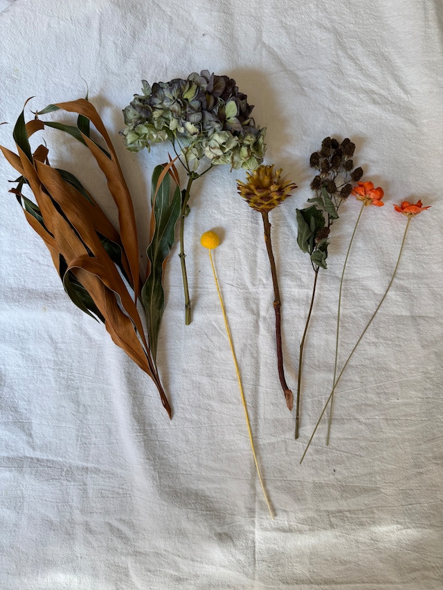 2ヶ月ごとに届くドライフラワーの定期便S(送料込)