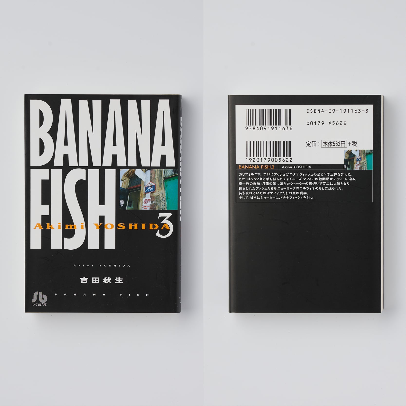 BANANA FISH（文庫版）全11巻 ＋ ANOTHER STORY｜吉田秋生 | HOTOBOLI