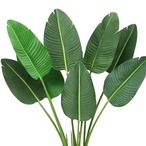 観葉植物 インテリア 空間デザイン ディスプレイ グリーン おしゃれ スタイリッシュ 屋内 リビング 寝室 書斎 玄関 空間演出