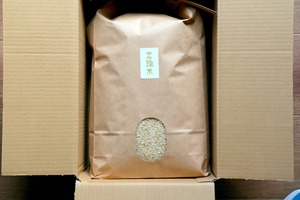 新米予約【金鵄米 /白米/20kg】きんしまい2026年産：冷めても美味しいヒノヒカリ(玄米7分5分3分づき対応可)