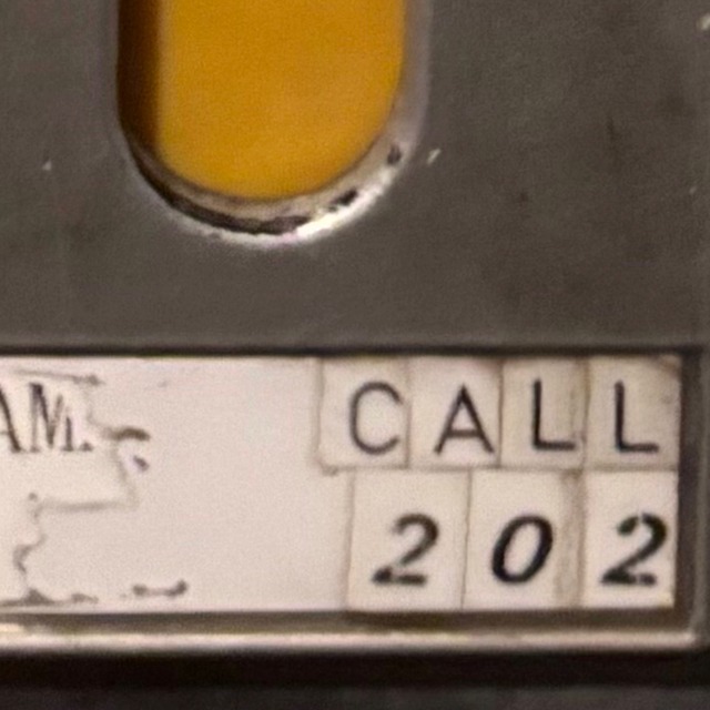 【レコードの】S.A.R.「202」アナログ盤（10インチ）