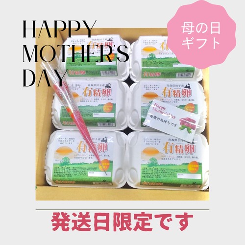 【Happy　Mother′s　Day】早割　母の日ギフト！！10％OFF【～4/30（日）までのご注文限定】平飼い有精卵　36個（6個入り×6パック）