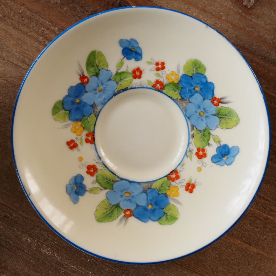 訳あり【英国Paragon】パラゴン プリムローズボーダー フラワー